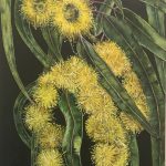 CBE71B22-4FC5-4AAB-A497-492D09E2115D