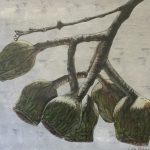 7B49E3A2-7D9D-4221-88C4-ADDE2A62806C