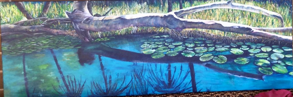 Millstream national park