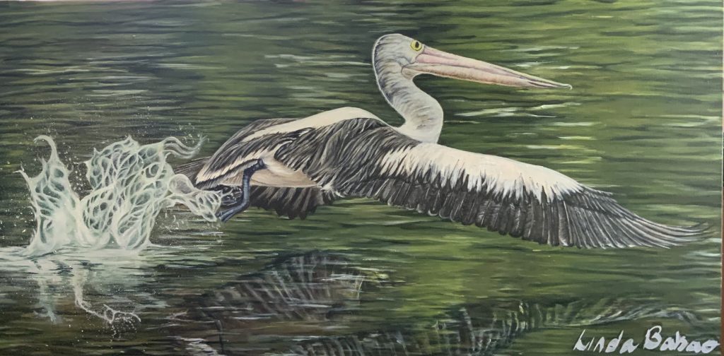 Give me room, It’s a long way up